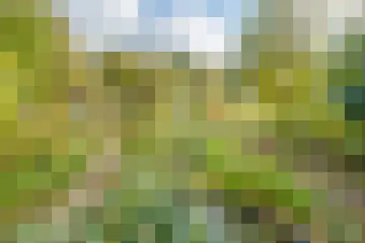 Nijkampsweg 4 Beltrum thumbnail 34