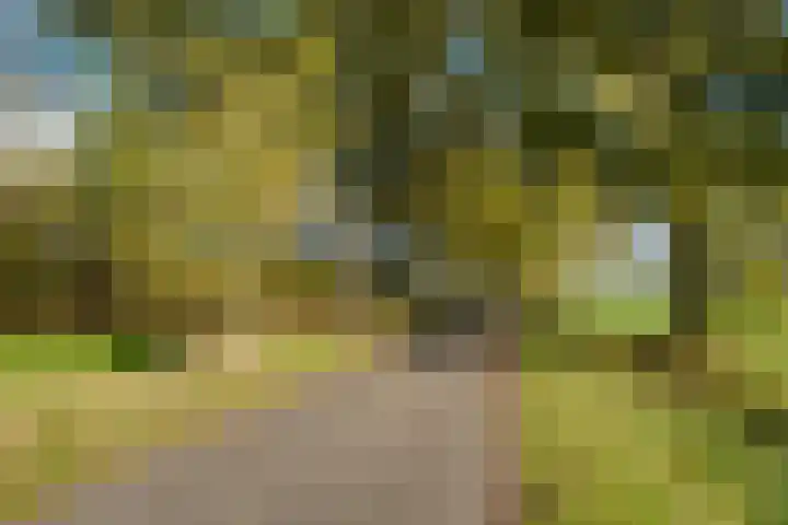 Nijkampsweg 4 Beltrum thumbnail 36
