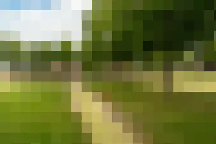 Nijkampvaart 142 Den Haag thumbnail 42