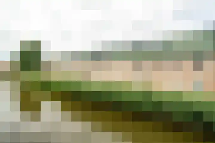 Nijkampvaart 142 Den Haag thumbnail 5