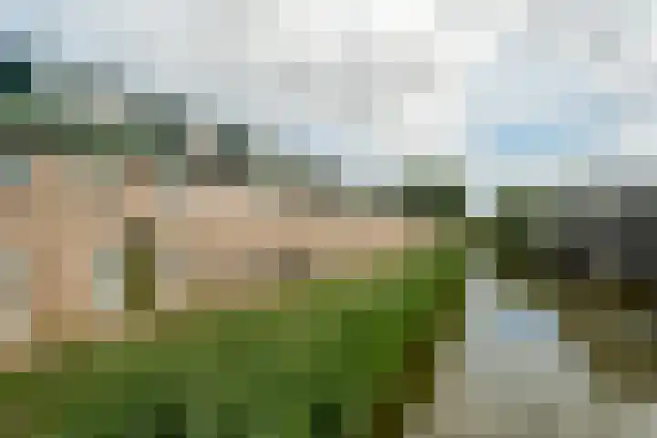 Nijkampvaart 142 Den Haag thumbnail 57