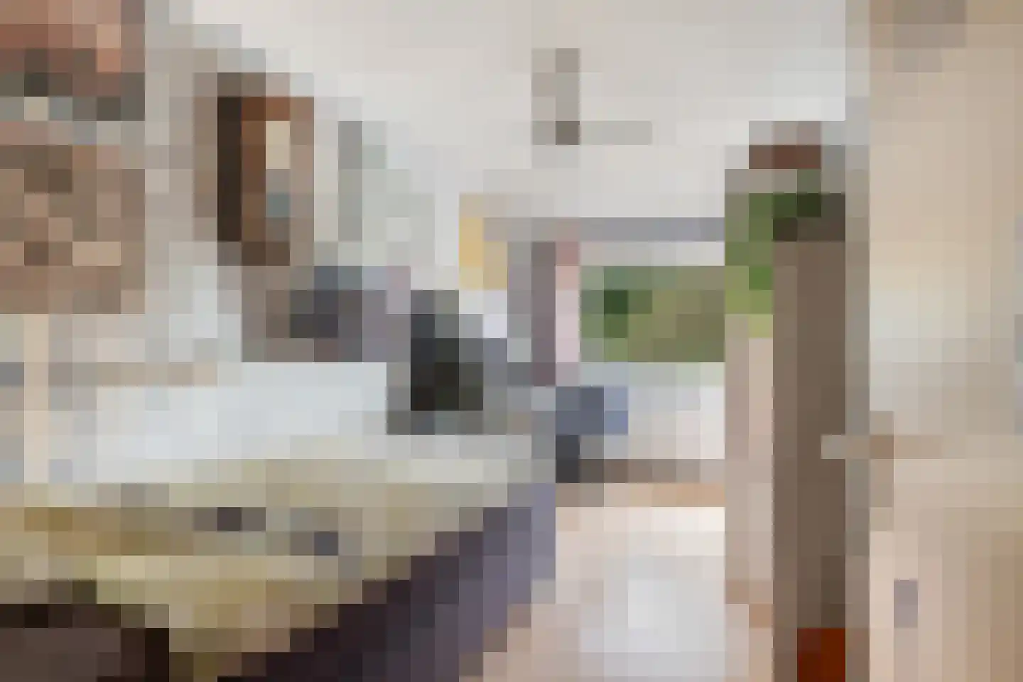 Nijkampvaart 150 Den Haag thumbnail 26