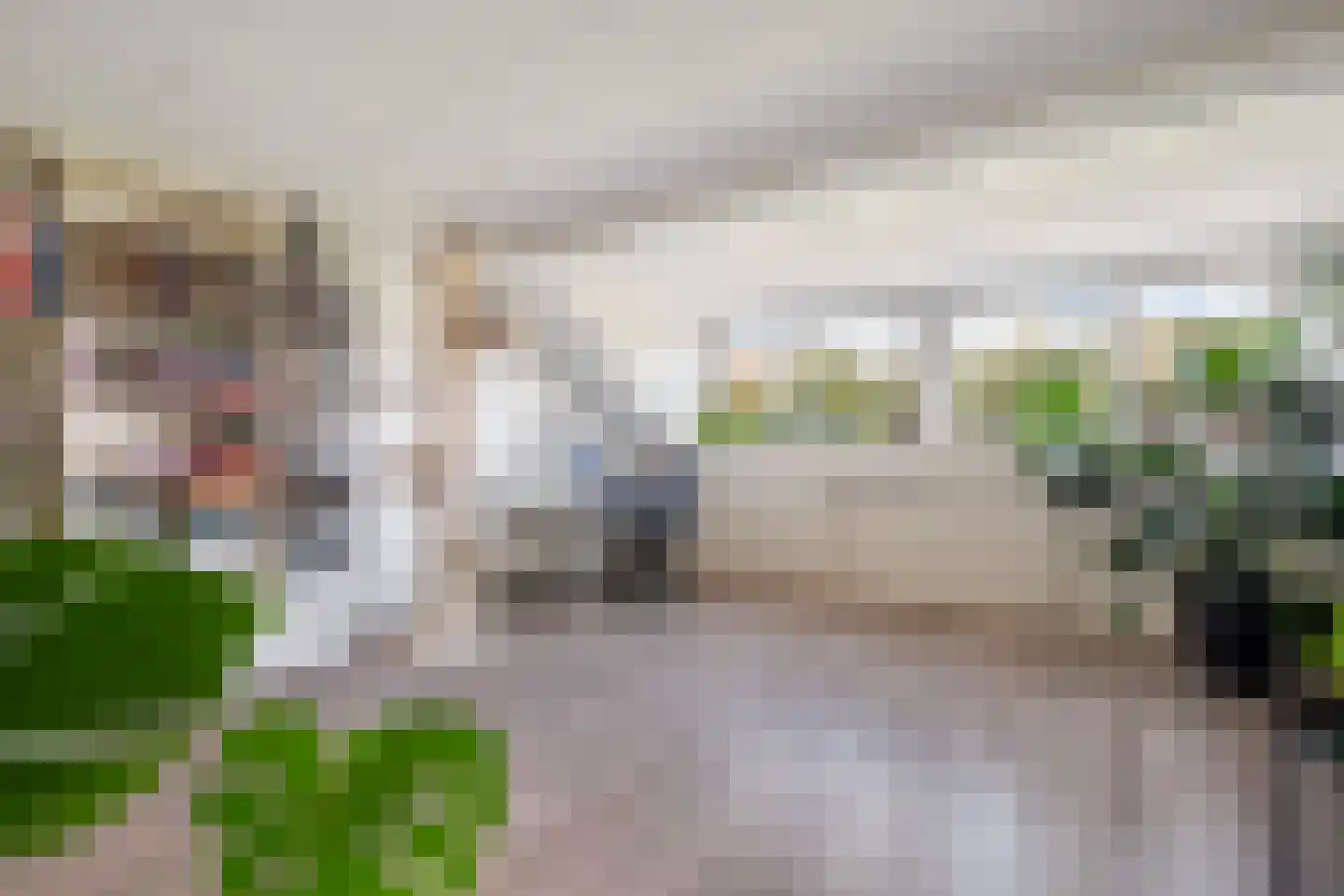 Nijkampvaart 150 Den Haag thumbnail 31