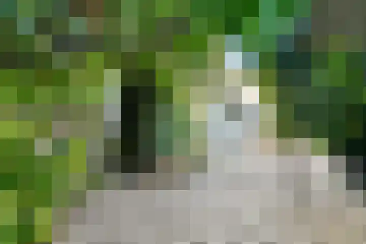 Nijkerkendijk 6 Nijverdal thumbnail 32
