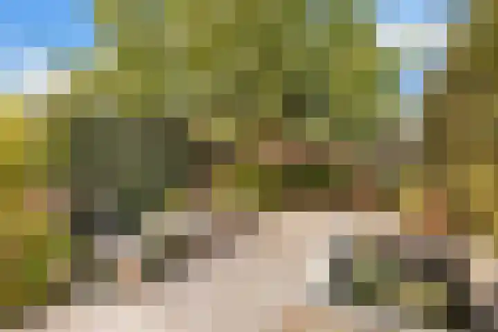 Nijkerkendijk 6 Nijverdal thumbnail 33