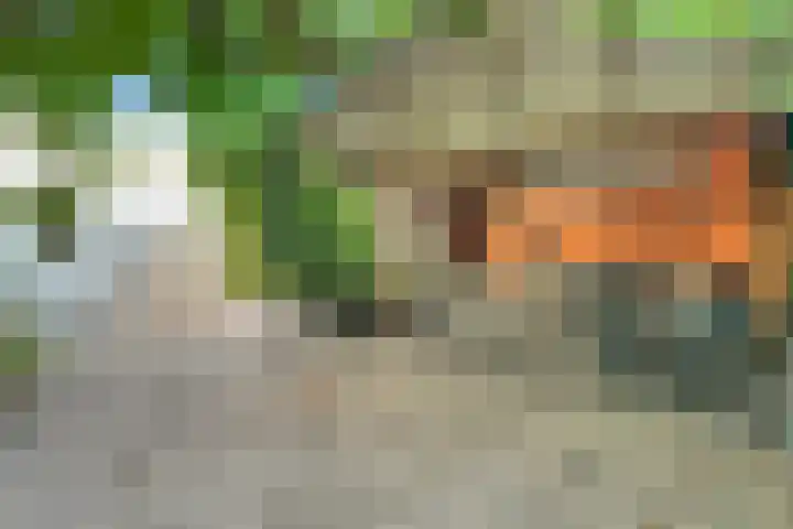Nijkerkendijk 6 Nijverdal thumbnail 34