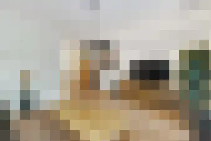 Nijkerkendijk 6 Nijverdal thumbnail 7