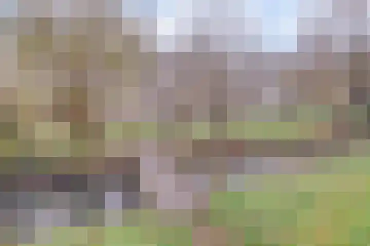 Nijkerkerschans 22 Nieuwegein thumbnail 38