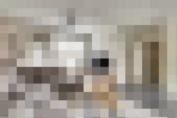 Nijkerkerschans 22 Nieuwegein thumbnail 8