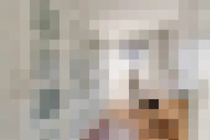 Nijkerkerschans 9 Nieuwegein thumbnail 26