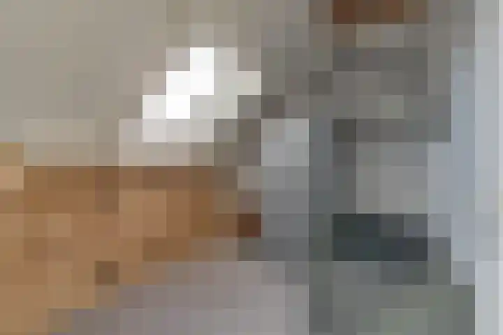 Nijkerkerschans 9 Nieuwegein thumbnail 35