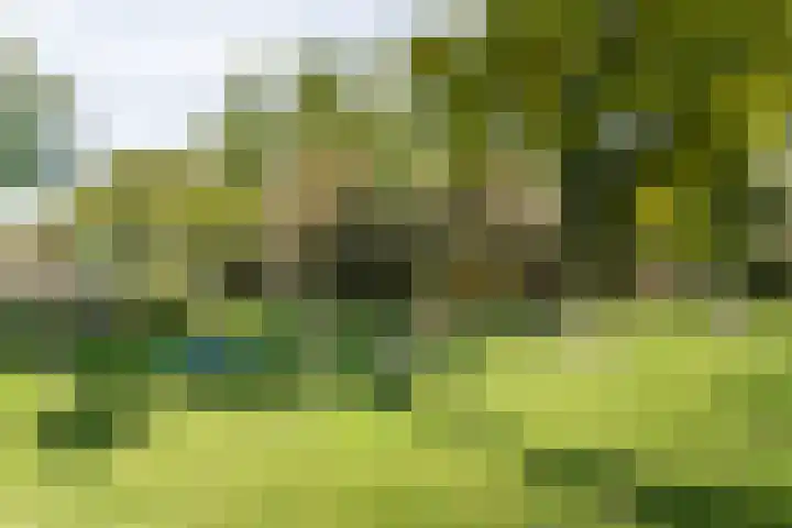 Nijkerkerschans 9 Nieuwegein thumbnail 41