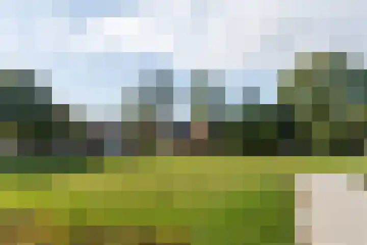 Nijkerkerschans 9 Nieuwegein thumbnail 43