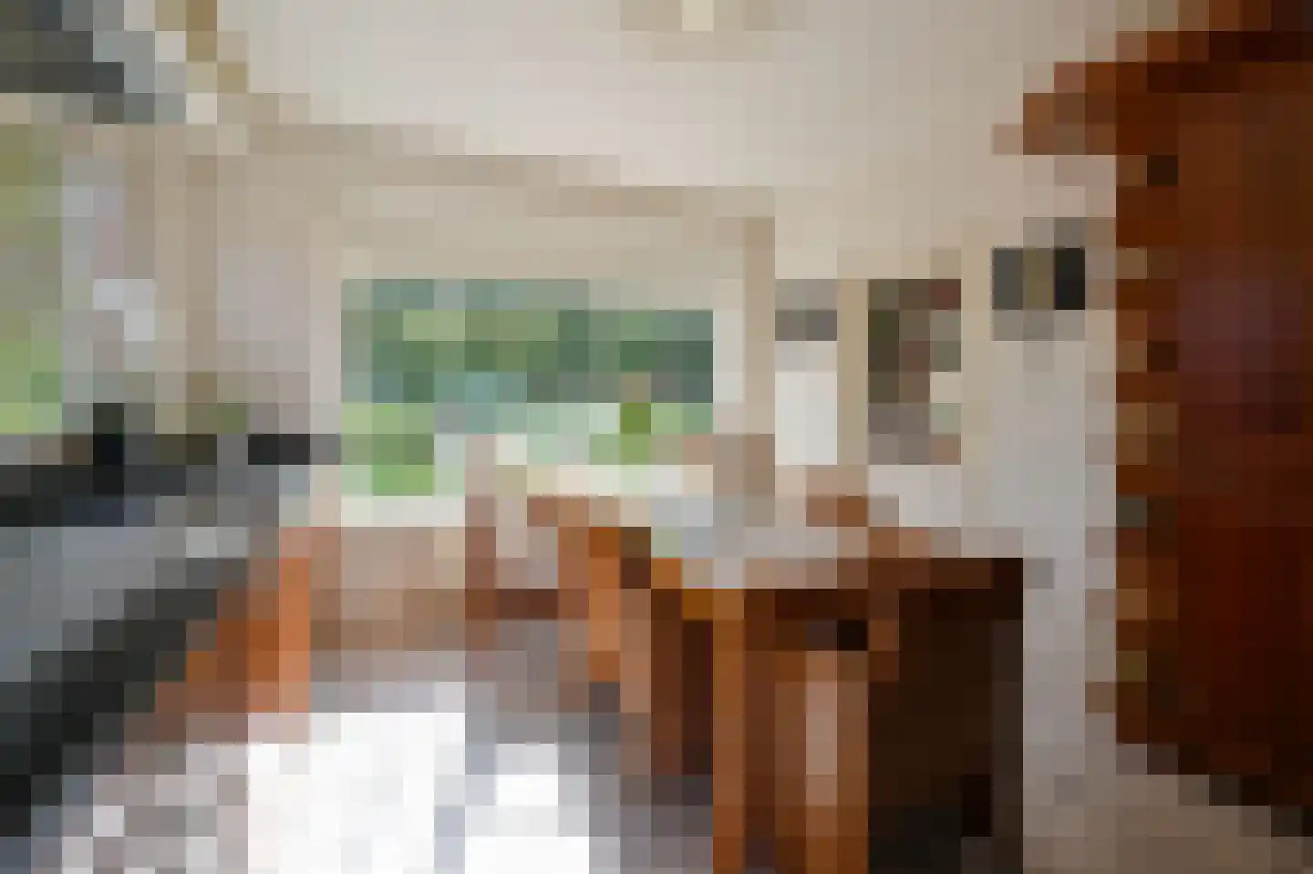 Nijkerkerstraat 45 a Hoevelaken thumbnail 11