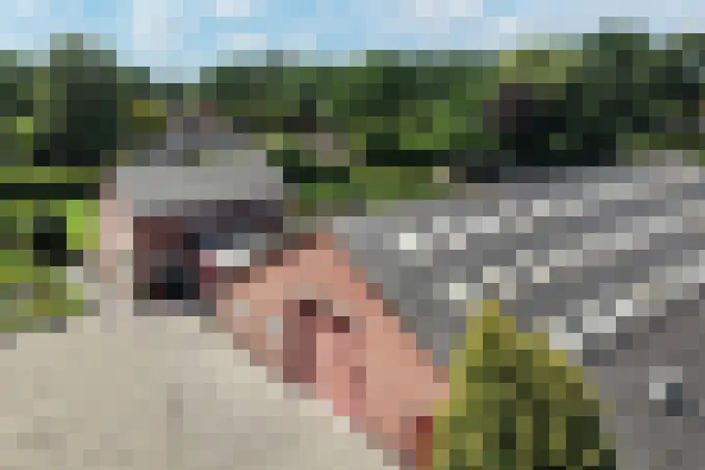 Nijkerkerstraat 45 a Hoevelaken thumbnail 23