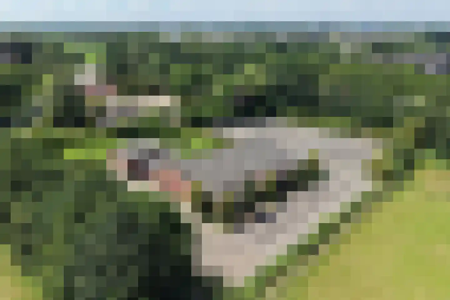 Nijkerkerstraat 45 a Hoevelaken thumbnail 41