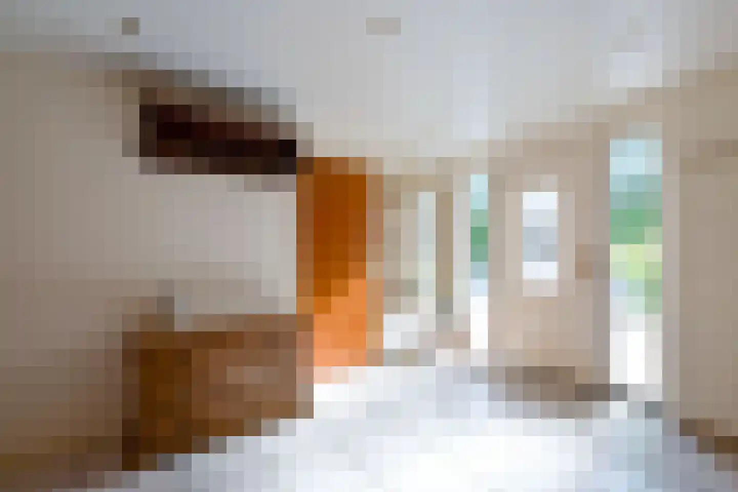 Nijkerkerstraat 45 a Hoevelaken thumbnail 6