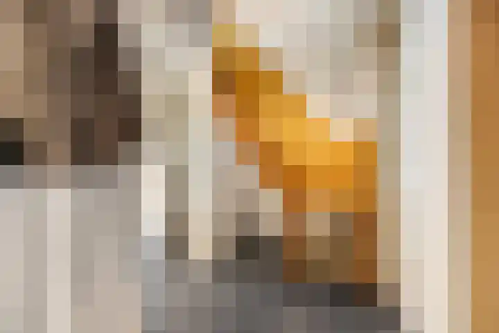 Nijkerkerstraat 45 Putten thumbnail 20