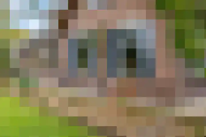 Nijkerkerstraat 45 Putten thumbnail 33