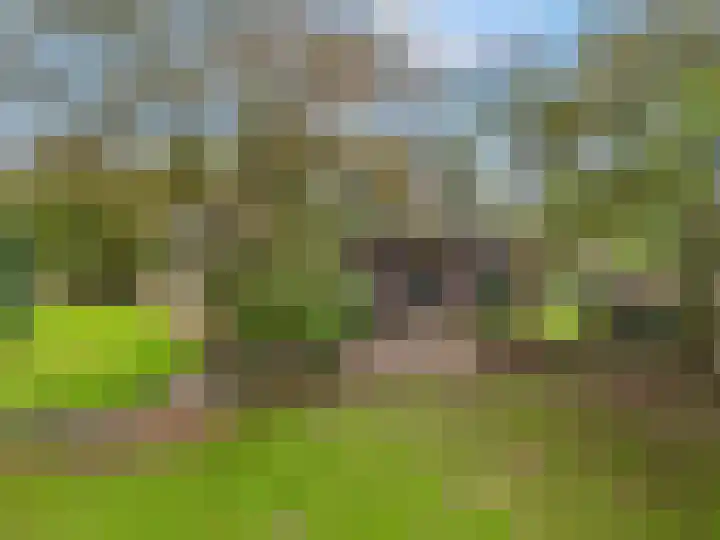Nijkerkerstraat 45 Putten thumbnail 36