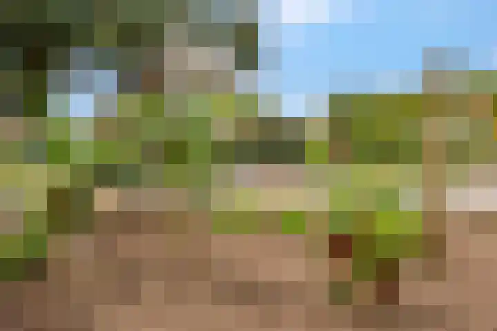 Nijkerkerstraat 45 Putten thumbnail 52