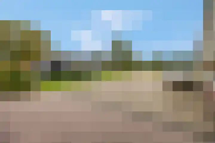 Nijkerkerstraat 45 Putten thumbnail 55