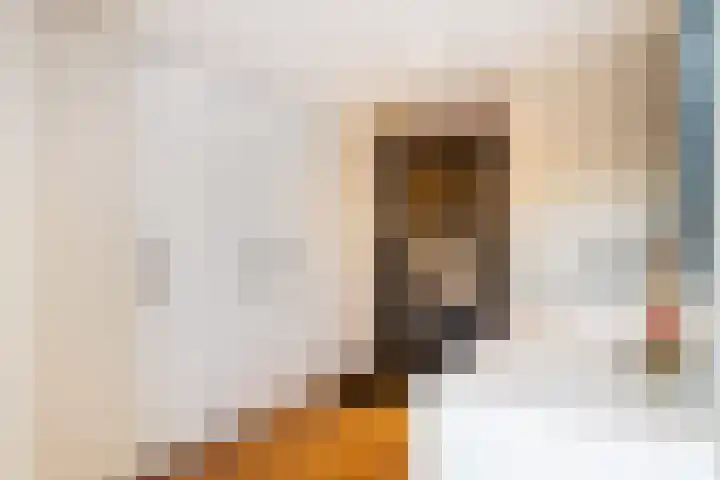 Nijkerkerveenweg 3 a Hoevelaken thumbnail 26