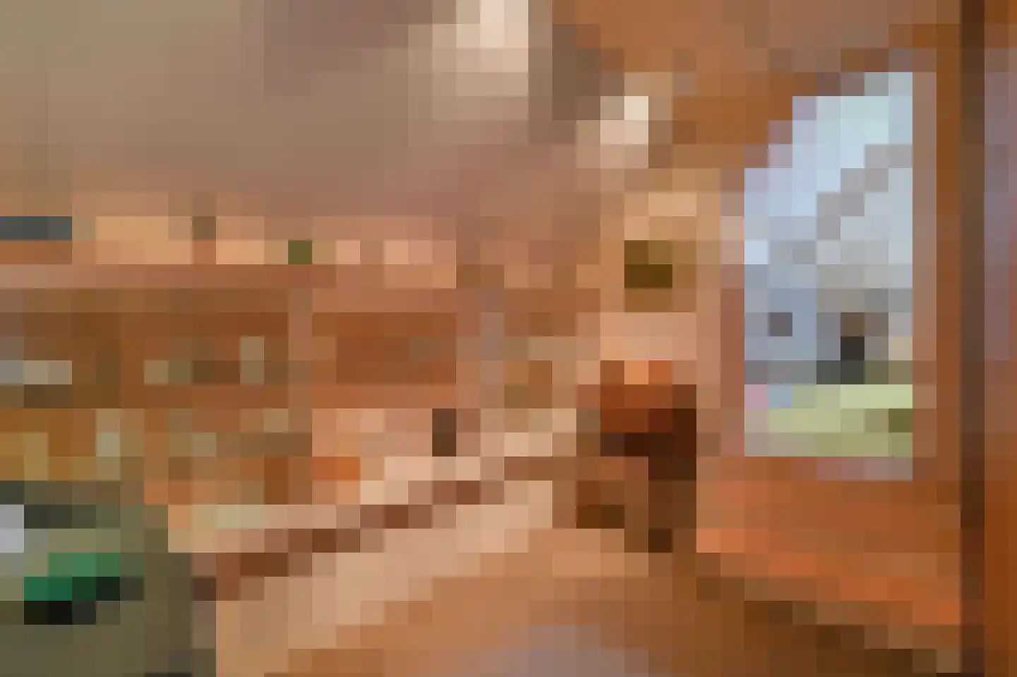 Nijkerkerweg 187 Voorthuizen thumbnail 17