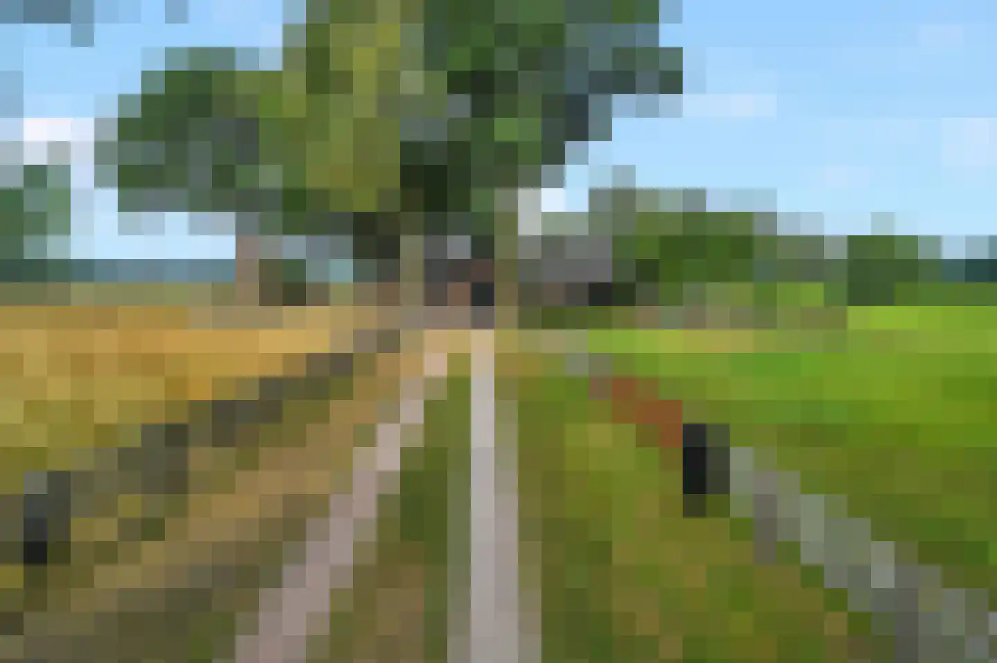 Nijkerkerweg 187 Voorthuizen foto 2
