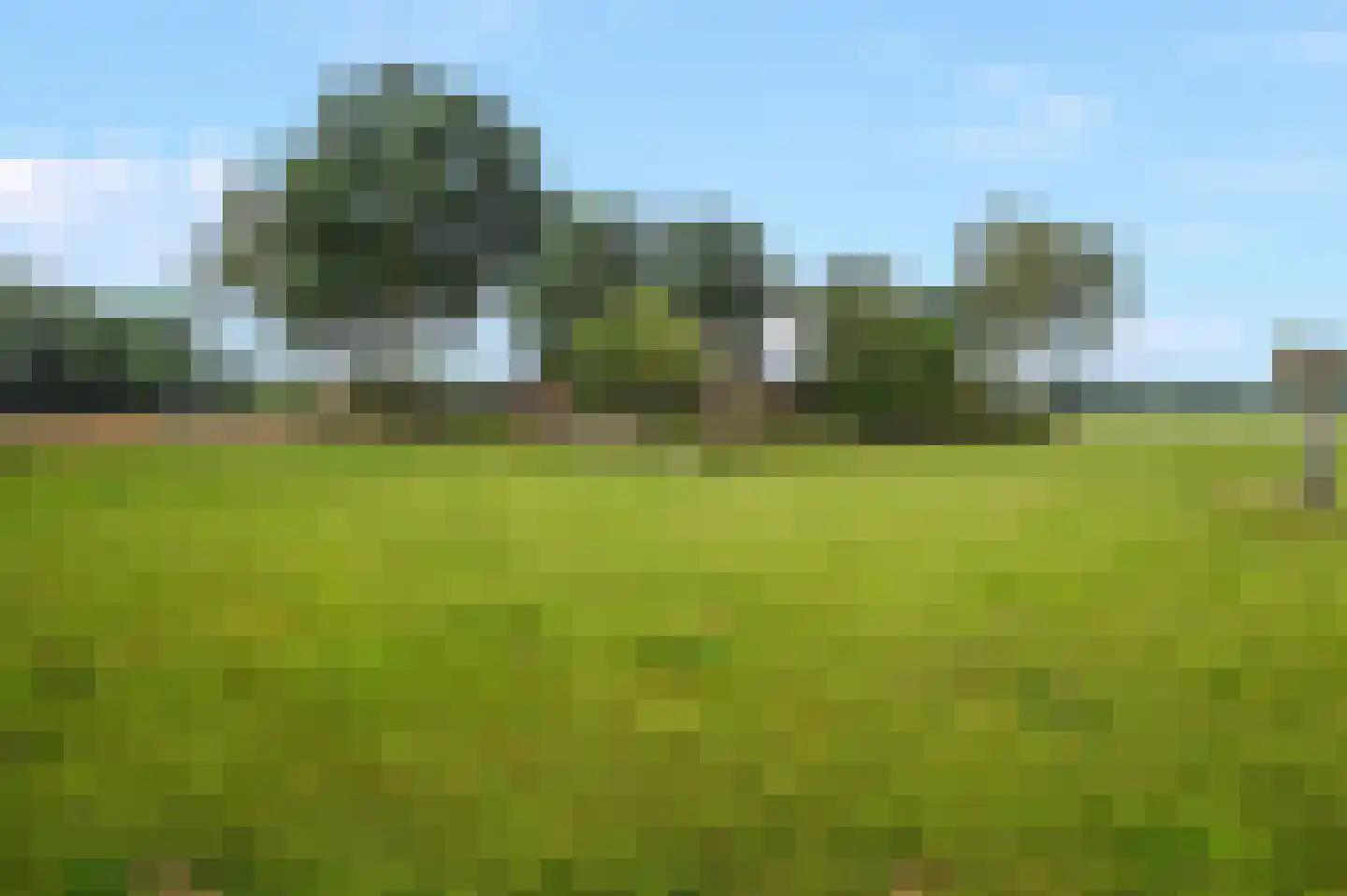 Nijkerkerweg 187 Voorthuizen thumbnail 36