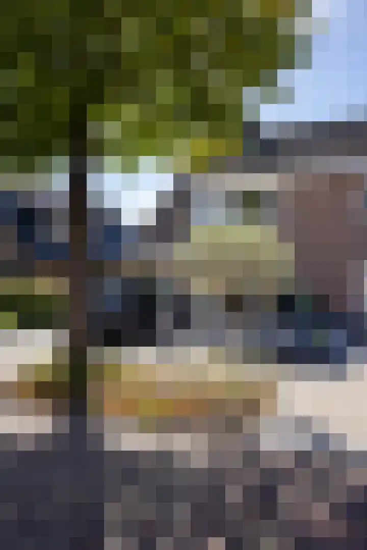 Nijkerkerweg 44 Bunschoten-Spakenburg thumbnail 62