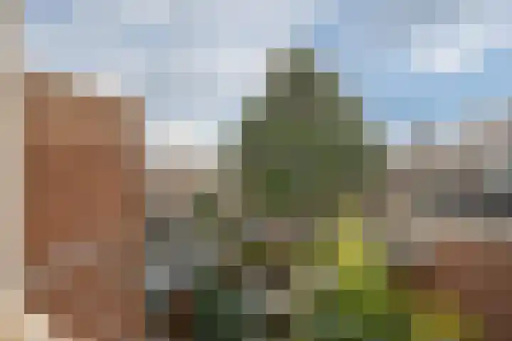 Nijkerklaan 62 Den Haag thumbnail 26