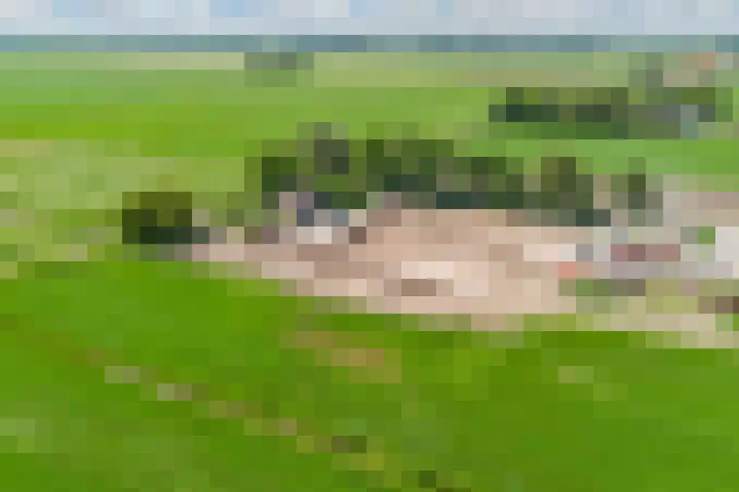 Nijksweg 24 Blesdijke thumbnail 14