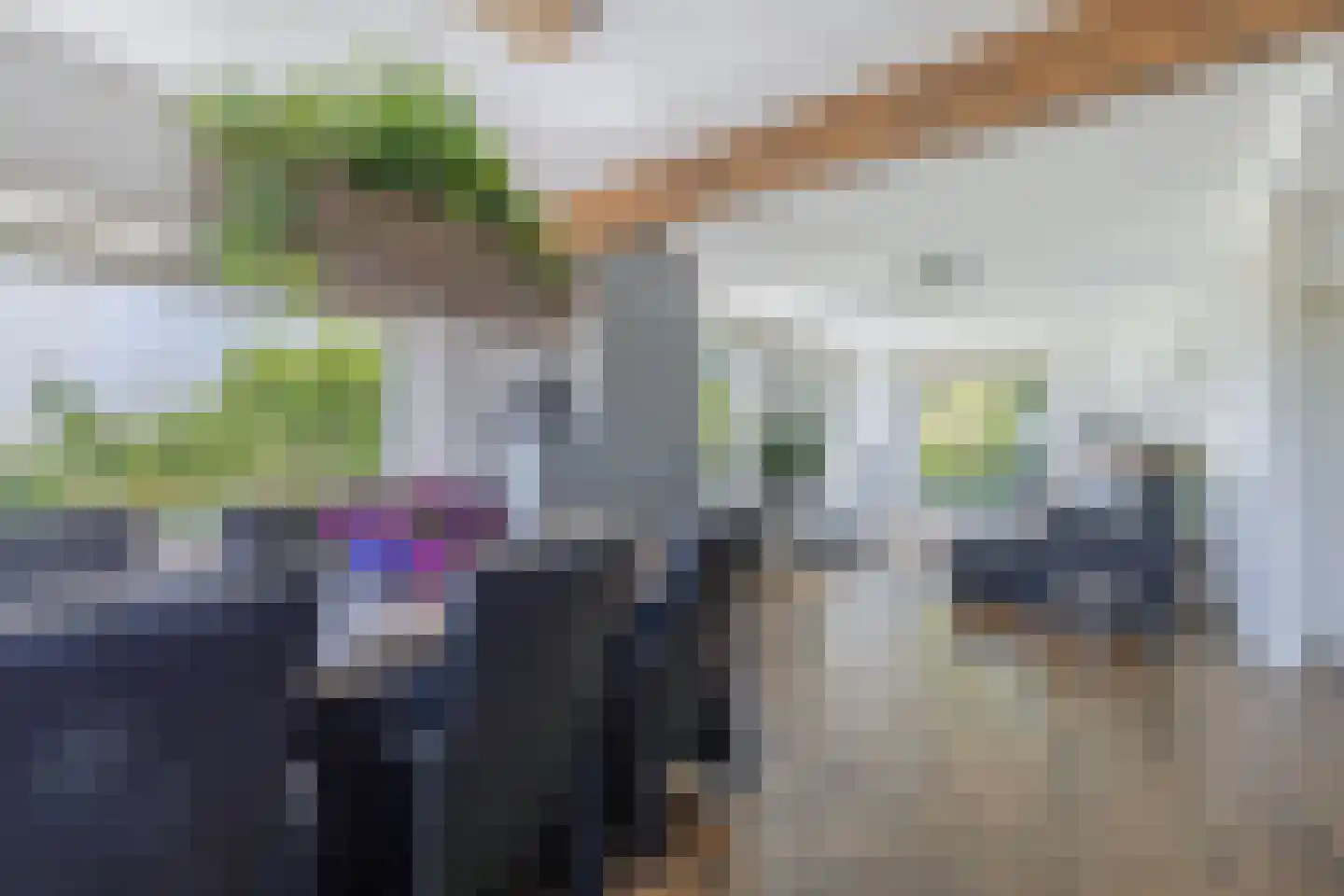 Nijksweg 24 Blesdijke thumbnail 17