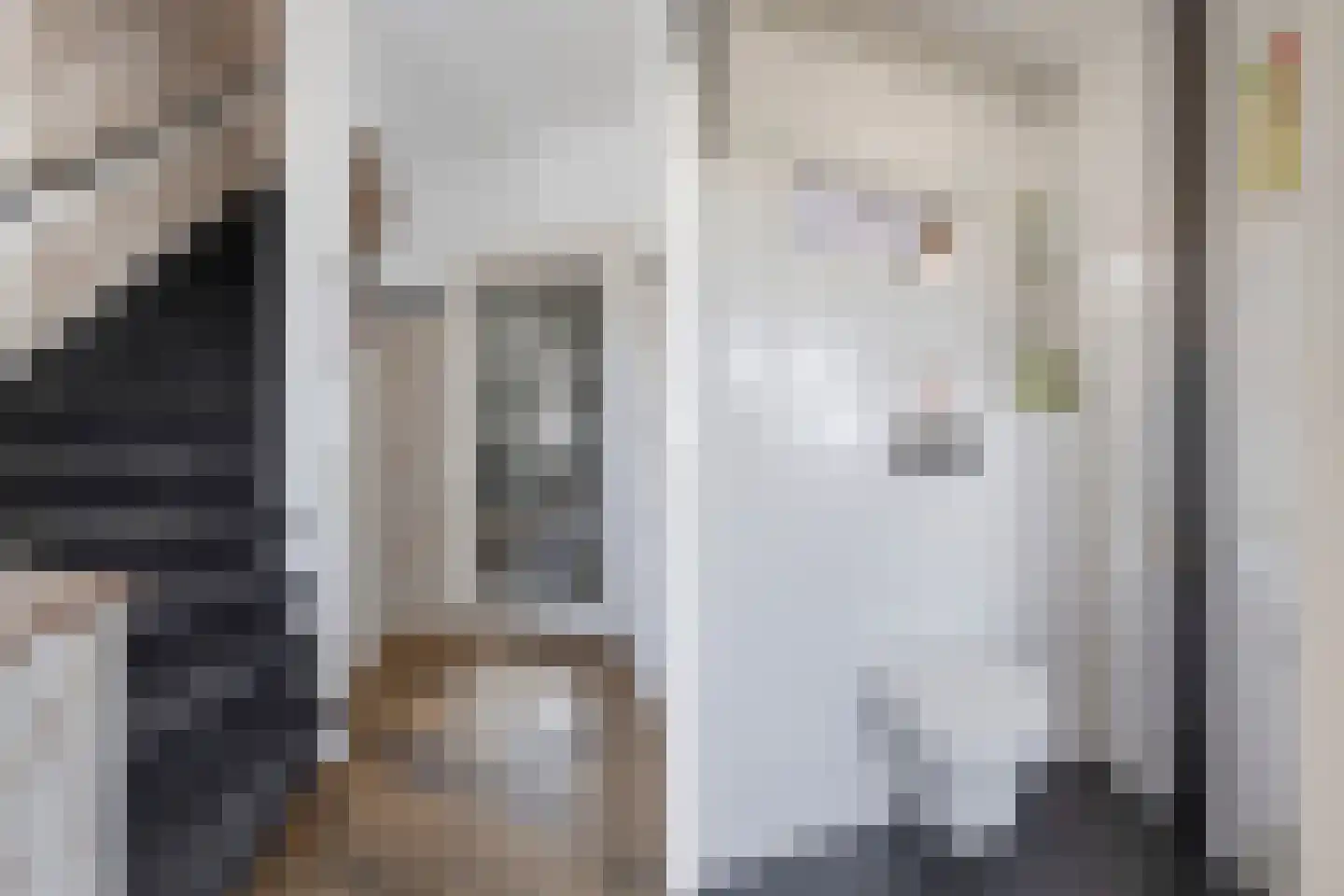 Nijksweg 24 Blesdijke thumbnail 18