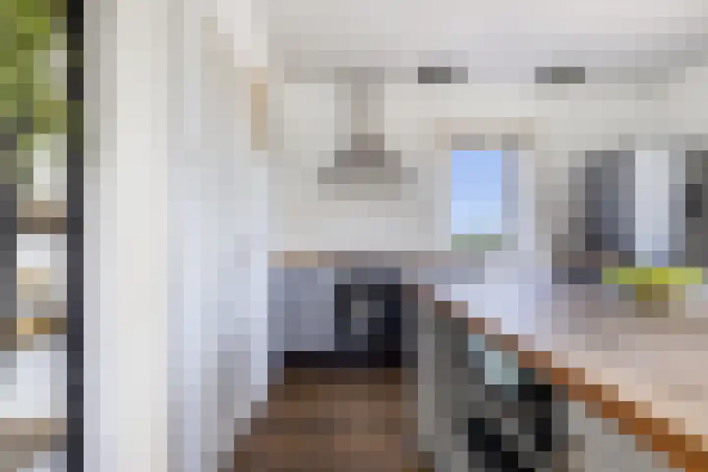 Nijksweg 24 Blesdijke thumbnail 19