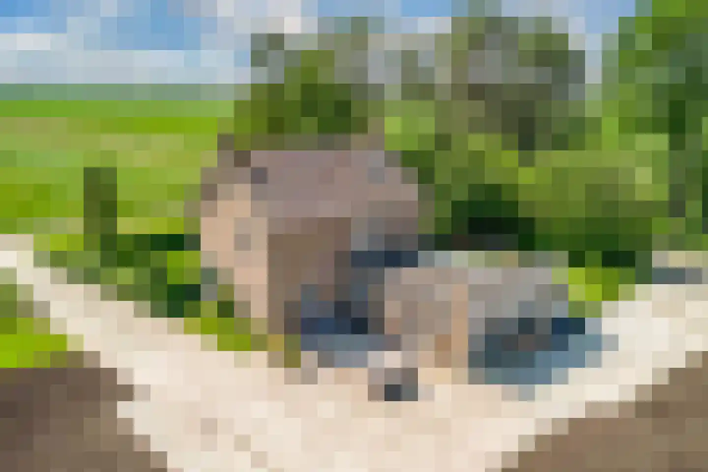 Nijksweg 24 Blesdijke foto 2