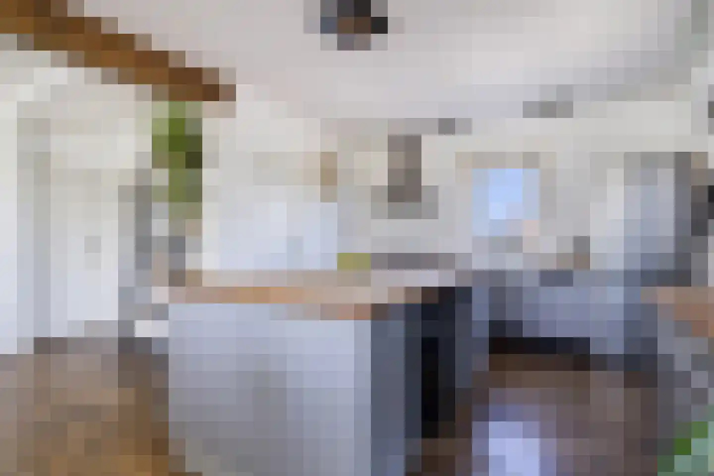 Nijksweg 24 Blesdijke thumbnail 20