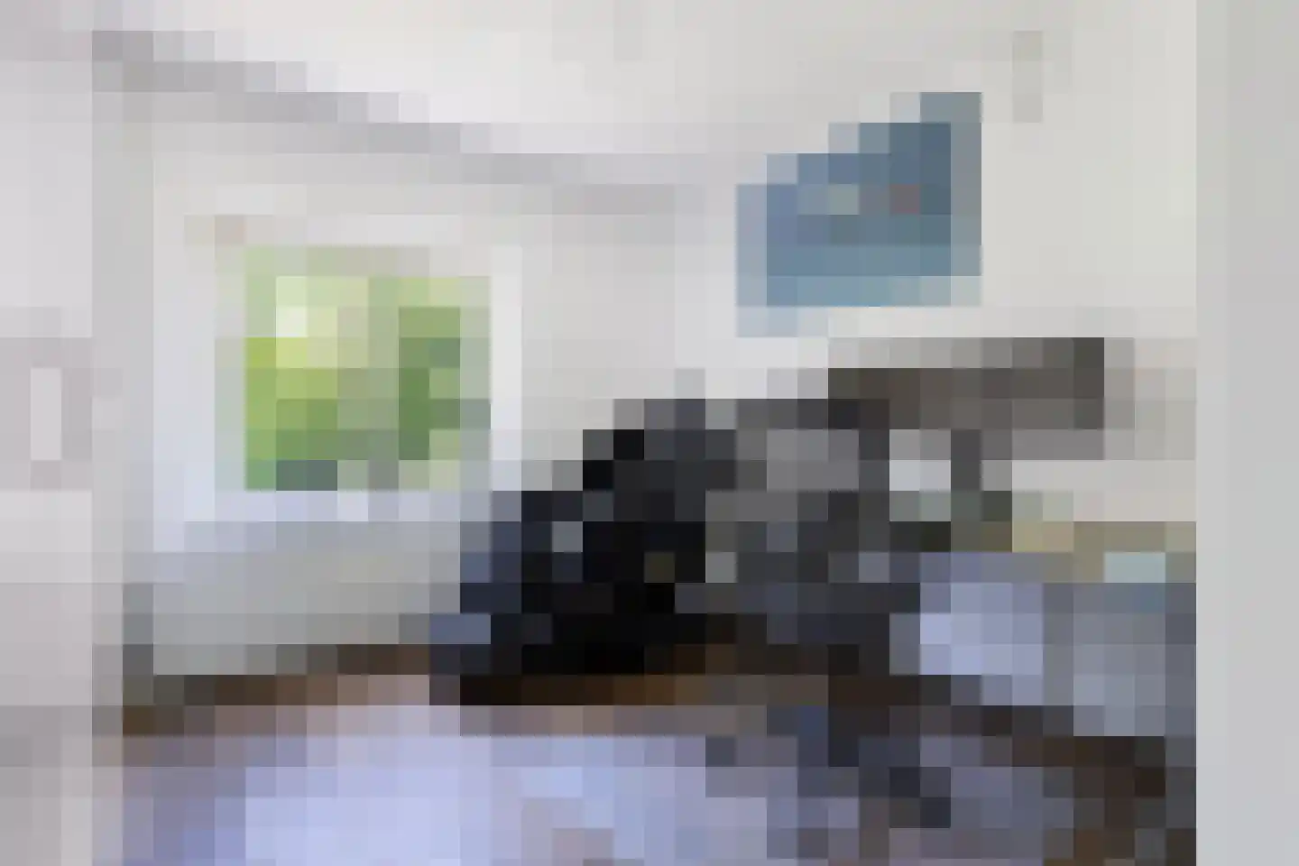 Nijksweg 24 Blesdijke thumbnail 23