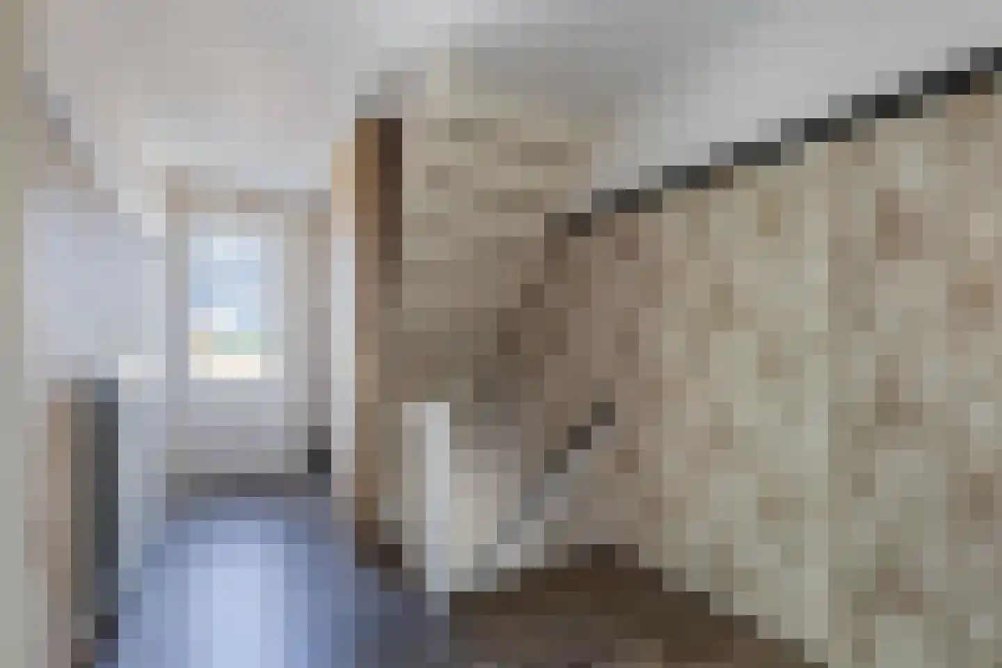 Nijksweg 24 Blesdijke thumbnail 25