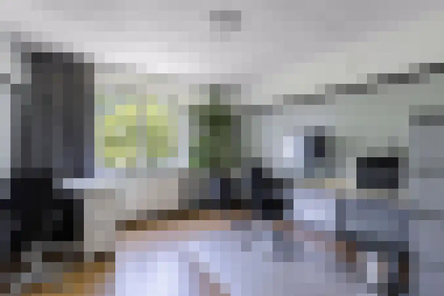 Nijksweg 24 Blesdijke thumbnail 26
