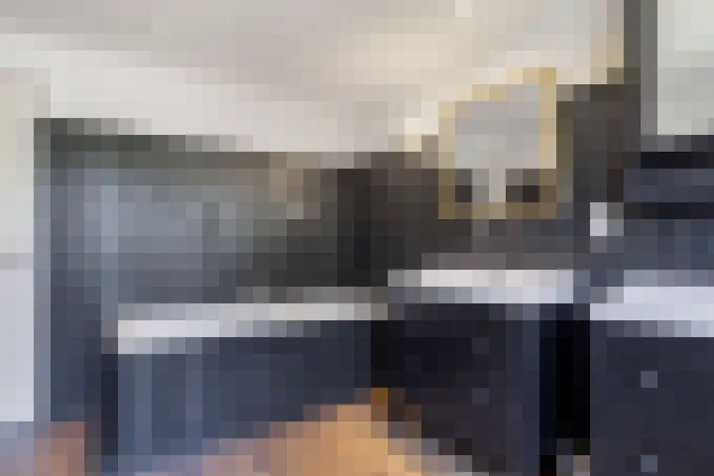 Nijksweg 24 Blesdijke thumbnail 29