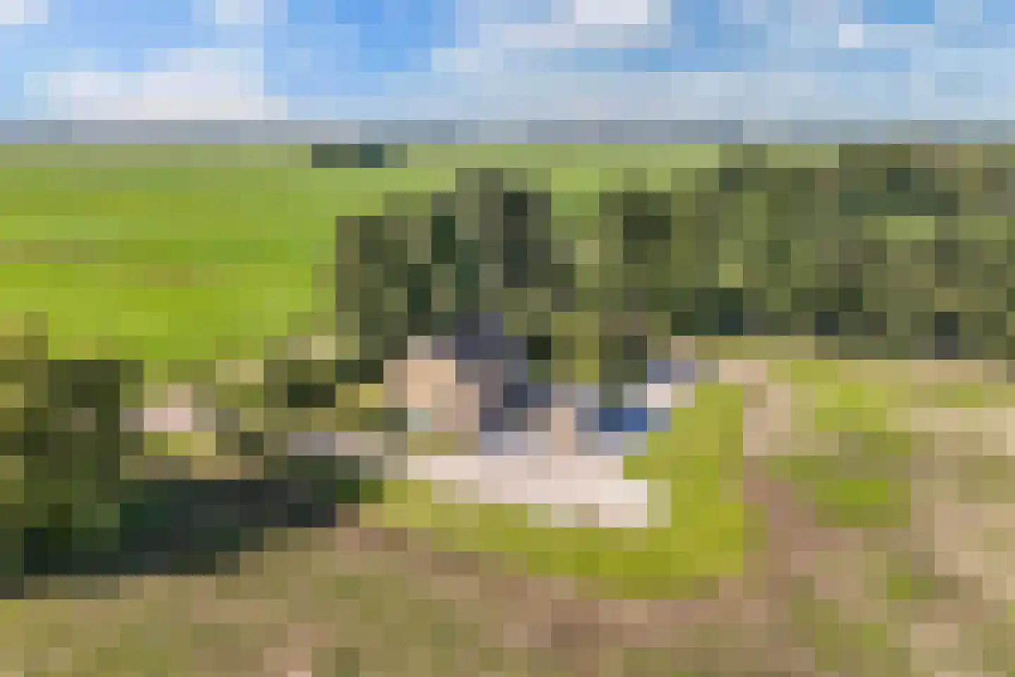 Nijksweg 24 Blesdijke foto 3