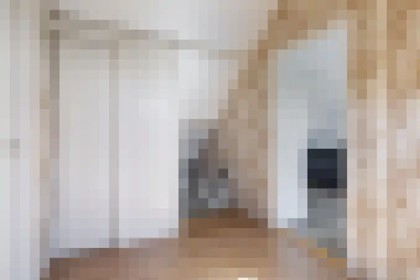 Nijksweg 24 Blesdijke thumbnail 34
