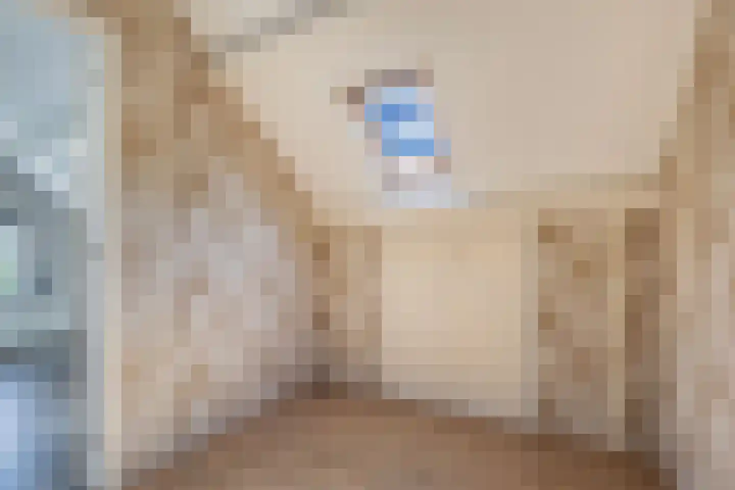 Nijksweg 24 Blesdijke thumbnail 35