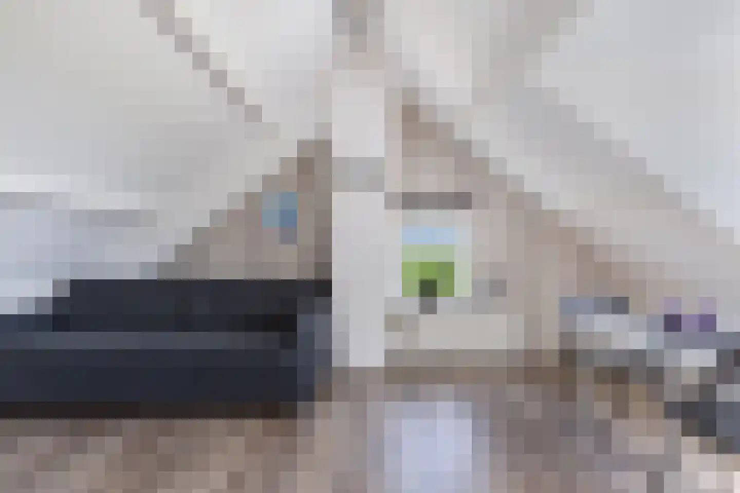 Nijksweg 24 Blesdijke thumbnail 36
