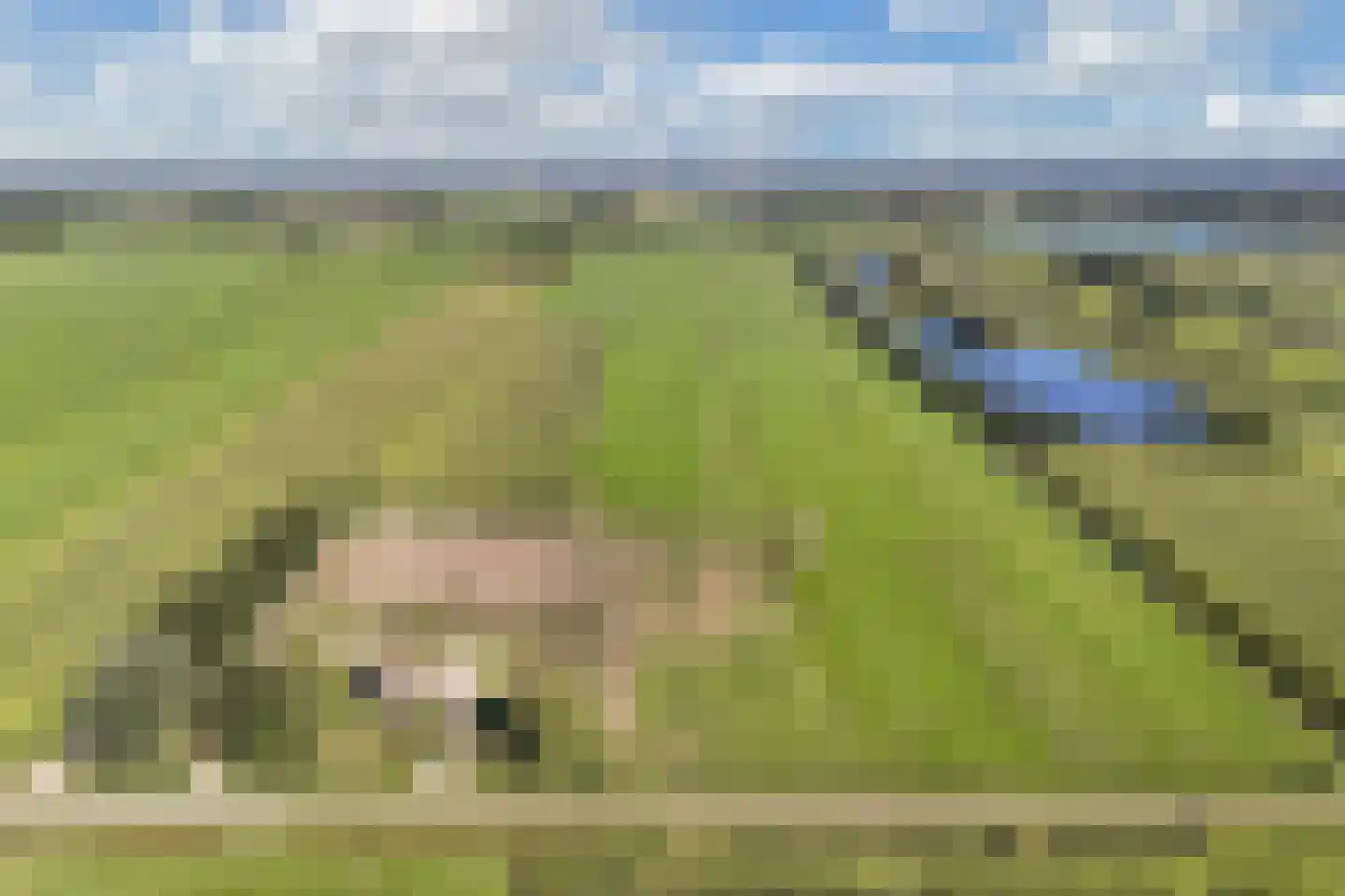 Nijksweg 24 Blesdijke thumbnail 4