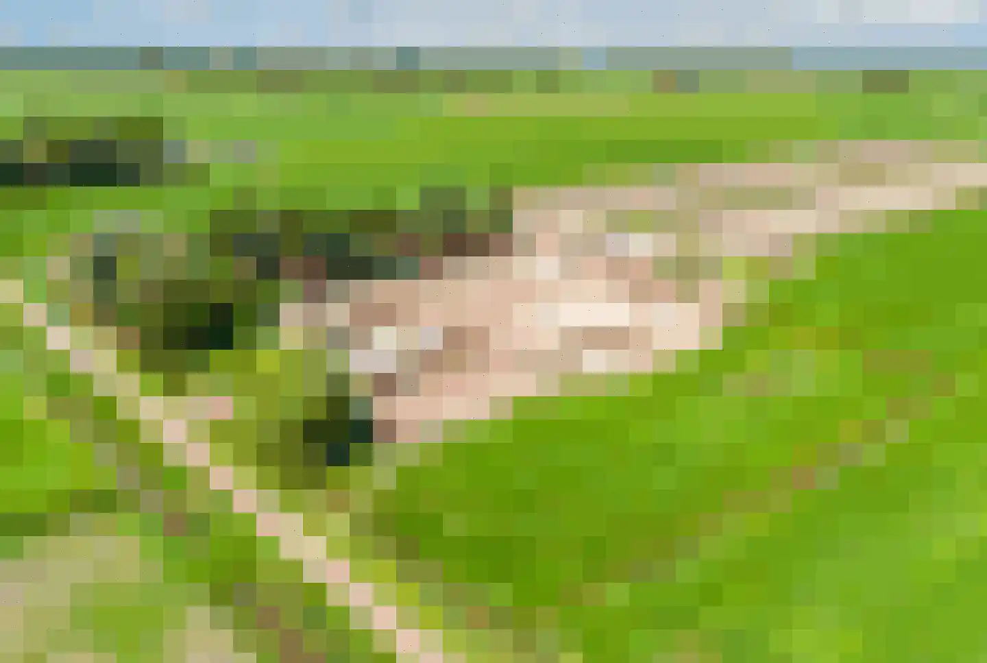 Nijksweg 24 Blesdijke thumbnail 4