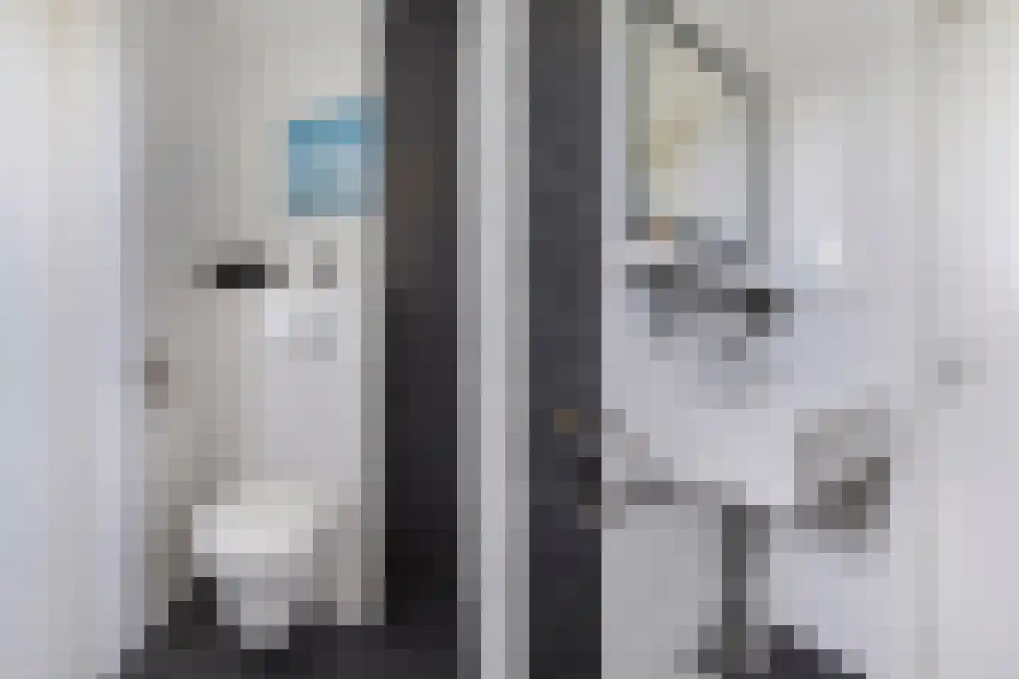 Nijksweg 24 Blesdijke thumbnail 40