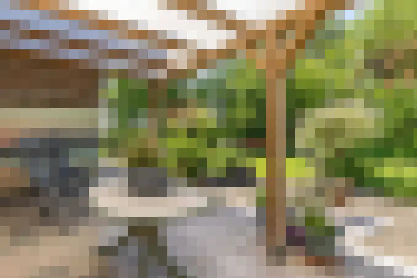 Nijksweg 24 Blesdijke thumbnail 43